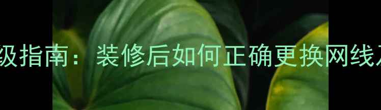 图片 全屋网络升级指南：装修后如何正确更换网线及注意事项2