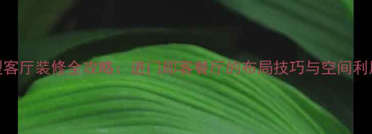 图片 小户型客厅装修全攻略：进门即客餐厅的布局技巧与空间利用方案