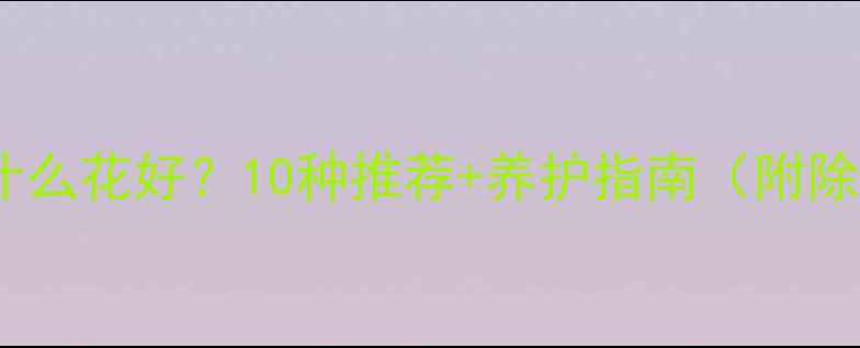 图片 新装修的房子放什么花好？10种推荐+养护指南（附除甲醛效果排名）2