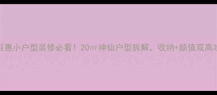 图片 特百惠小户型装修必看！20㎡神仙户型拆解，收纳+颜值双高攻略