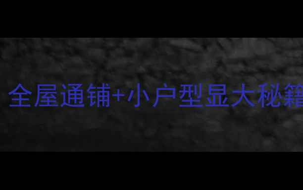 图片 现代简约瓷砖搭配全攻略：全屋通铺+小户型显大秘籍，低成本打造高级感空间2
