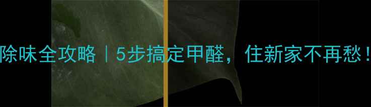 图片 装修后除味全攻略｜5步搞定甲醛，住新家不再愁！🏠💨2