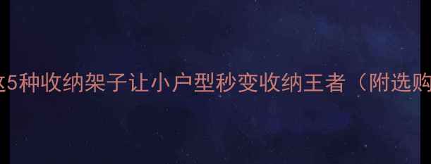 图片 装修必看！这5种收纳架子让小户型秒变收纳王者（附选购避坑指南）1