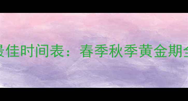 图片 装修最佳时间表：春季秋季黄金期全攻略