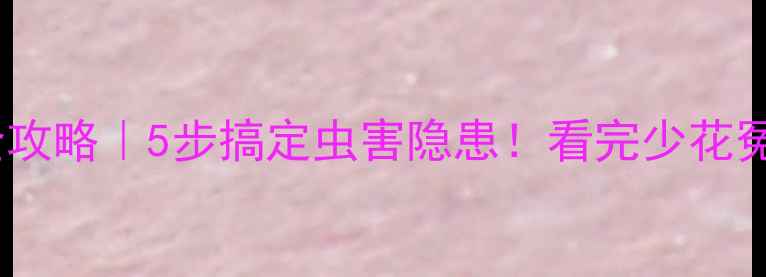 图片 装修防虫全攻略｜5步搞定虫害隐患！看完少花冤枉钱🐛💡2