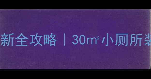 图片 🏮北京胡同老房子厕所翻新全攻略｜30㎡小厕所装出高级感，附避坑指南2